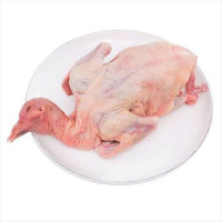 Chim bồ câu làm sạch
